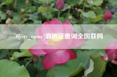 深圳消防证查询全国联网