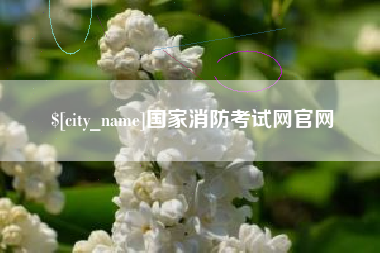 深圳国家消防考试网官网
