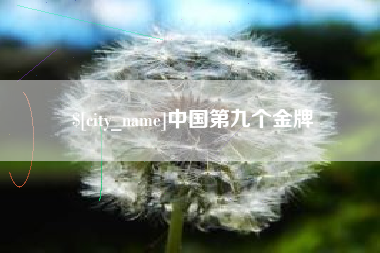 深圳中国第九个金牌