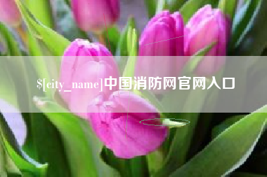 深圳中国消防网官网入口