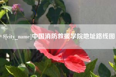 深圳中国消防救援学院地址路线图