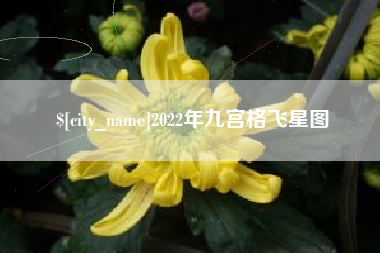深圳2022年九宫格飞星图