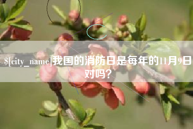 深圳我国的消防日是每年的11月9日对吗？