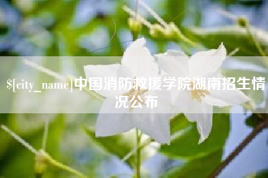 深圳中国消防救援学院湖南招生情况公布