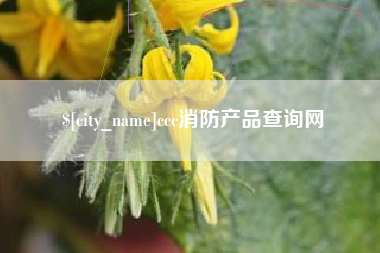 深圳ccc消防产品查询网