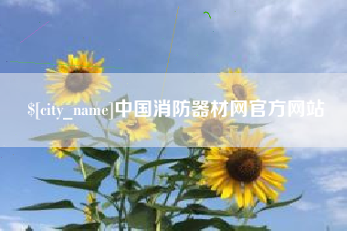 深圳中国消防器材网官方网站
