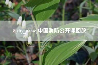 深圳中国消防公开课回放
