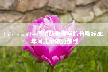 深圳中国消防救援学院分数线2023年河北录取分数线