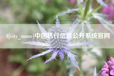 深圳中国执行信息公开系统官网