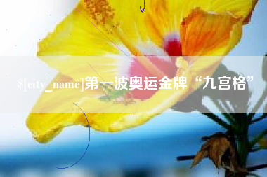 深圳第一波奥运金牌“九宫格”