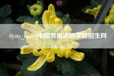 深圳中国救援消防学院招生网
