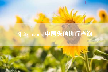 深圳中国失信执行查询