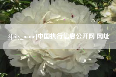 深圳中国执行信息公开网 网址