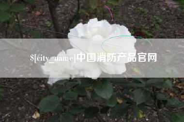 深圳中国消防产品官网