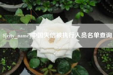 深圳中国失信被执行人员名单查询