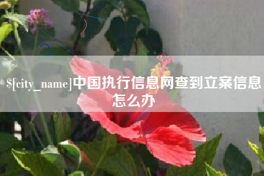 深圳中国执行信息网查到立案信息怎么办