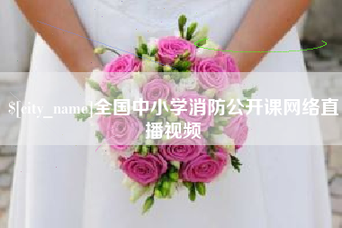 深圳全国中小学消防公开课网络直播视频