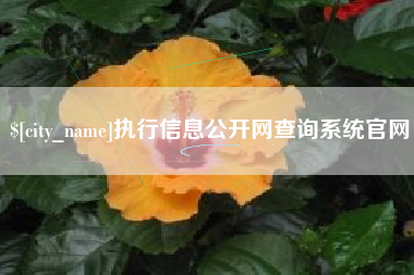 深圳执行信息公开网查询系统官网