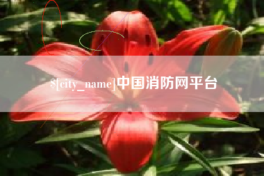 深圳中国消防网平台