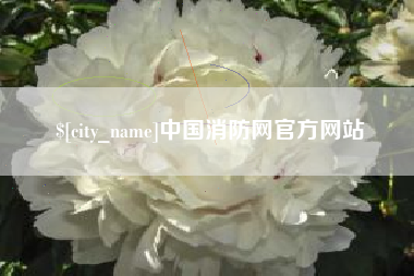 深圳中国消防网官方网站