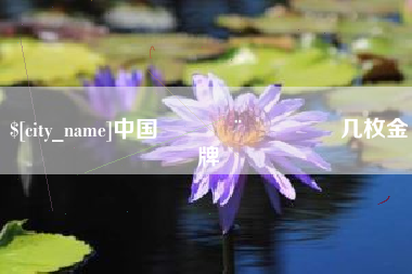 深圳中国🇨🇳几枚金牌