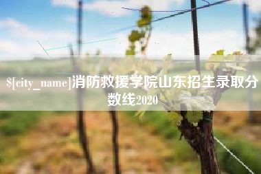 深圳消防救援学院山东招生录取分数线2020