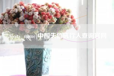 深圳中国失信执行人查询官网