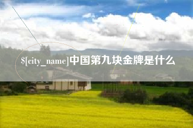 深圳中国第九块金牌是什么