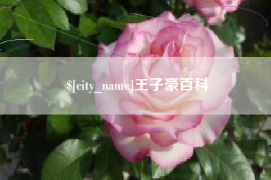 深圳王子豪百科