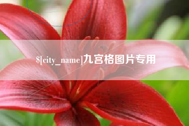 深圳九宫格图片专用
