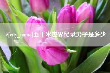深圳五千米世界纪录男子是多少