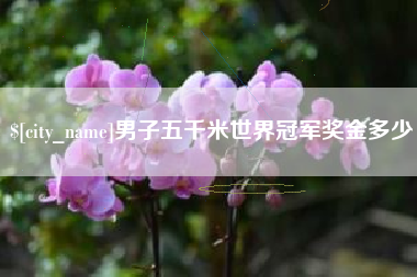 深圳男子五千米世界冠军奖金多少
