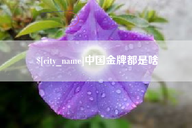 深圳中国金牌都是啥