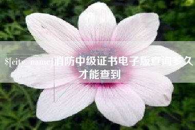 深圳消防中级证书电子版查询多久才能查到