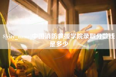 深圳中国消防救援学院录取分数线是多少