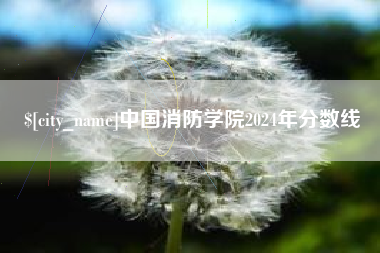 深圳中国消防学院2024年分数线