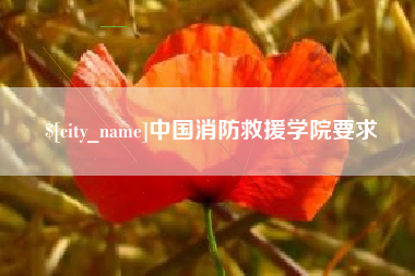 深圳中国消防救援学院要求