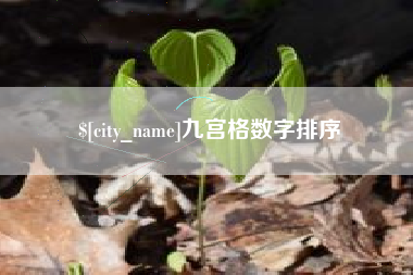 深圳九宫格数字排序