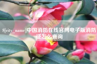 深圳中国消防在线官网电子版消防证怎么查询