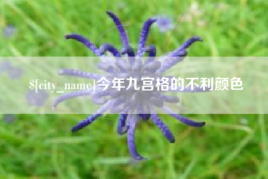 深圳今年九宫格的不利颜色