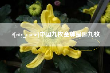 深圳中国九枚金牌是哪九枚