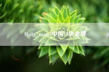 深圳中国19块金牌