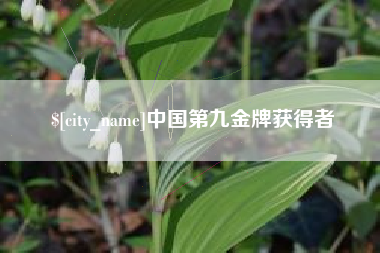 深圳中国第九金牌获得者