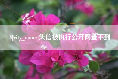 深圳失信被执行公开网查不到