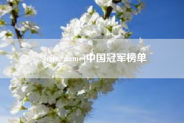 深圳中国冠军榜单