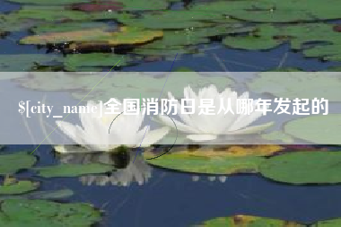 深圳全国消防日是从哪年发起的