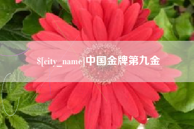 深圳中国金牌第九金