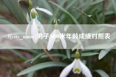 深圳男子5000米年龄成绩对照表