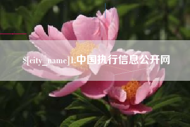 深圳1.中国执行信息公开网