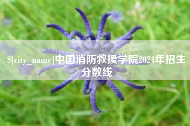 深圳中国消防救援学院2024年招生分数线